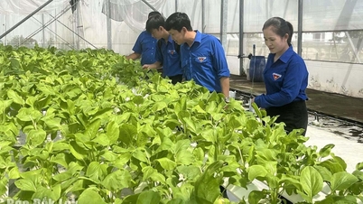 កសិកម្មបច្ចេកវិទ្យាខ្ពស់ - ផ្លូវជៀសមិនរួច