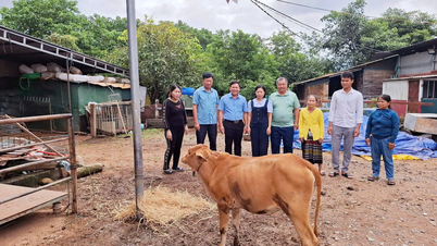 កម្មាភិបាល​រណសិរ្ស​ស្ត្រី​លះបង់​ដើម្បី​ប្រជាជន