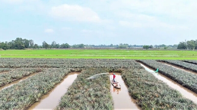 រួមគ្នាដើម្បីរីកចម្រើន