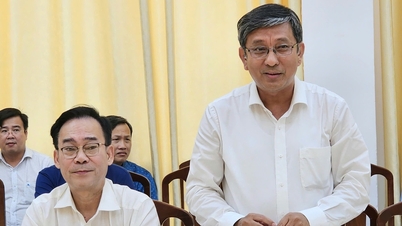 Mời nhà khoa học các lĩnh vực tham gia ban cố vấn cho lãnh đạo Cần Thơ