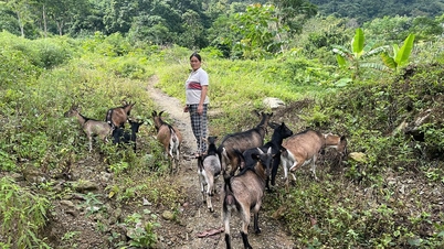 ឡើងលើភាពក្រីក្រ