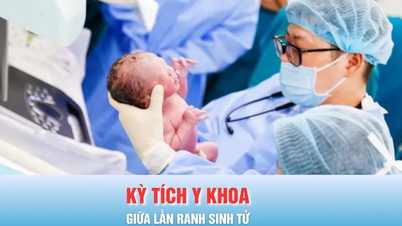 អព្ភូតហេតុវេជ្ជសាស្រ្តរវាងជីវិតនិងសេចក្តីស្លាប់៖ ស្រឡាញ់ជីវិតដែលផុយស្រួយ