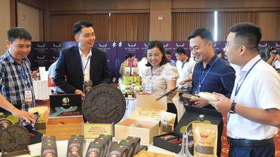 របកគំហើញពីខ្សែសង្វាក់តម្លៃបៃតង