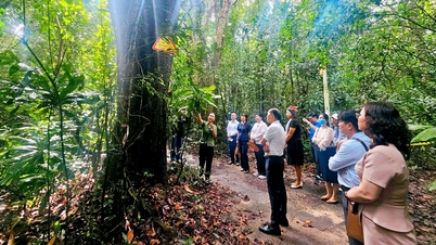 ដោះសោ​សក្ដានុពល​ឲ្យ​លោក ហូ ត្រាំ ឈាន​ដល់​កម្រិត​អន្តរជាតិ