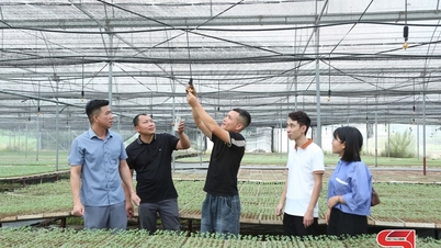 Diversify winter crops