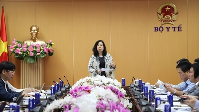 Minister Dao Hong Lan: Łączność baz danych przynosi pozytywne zmiany w sektorze zdrowia