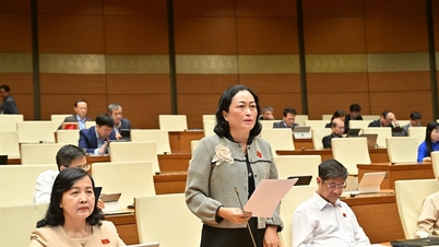 ធ្វើឲ្យល្អឥតខ្ចោះច្បាប់ស្តីពីការអនុវត្តការវិនិច្ឆ័យ៖ តម្លាភាព ឌីជីថលភាវូបនីយកម្ម និងការការពារមន្ត្រីរាជការសាធារណៈ