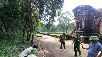 នគរបាល​ឃុំ​ឌុយ​ងៀ ទទួល​បាន និង​ប្រគល់​ពស់ថ្លាន់​ដ៏​កម្រ​មួយ​ក្បាល ហើយ​លែង​ចូល​ព្រៃ​វិញ ។