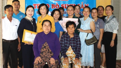 שתי נסיבות קשות בקומונה של פואוק צ'י קיבלו פרות רבייה.