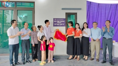 Fogyatékkal élők gondozása és kísérése