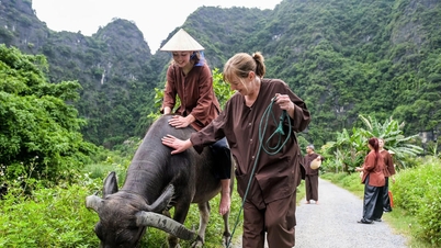 Ninh Binh przygotowuje się na szczyt sezonu, aby powitać zagranicznych gości
