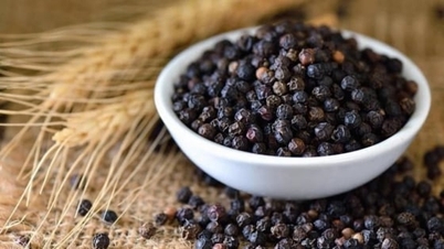 Giá tiêu hôm nay 12/11/2025: Đắk Lắk giảm nhẹ 500 đồng