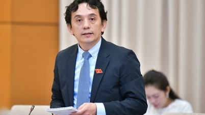 Chính sách thu hút đầu tư cần tránh biến Việt Nam thành “vùng trũng”