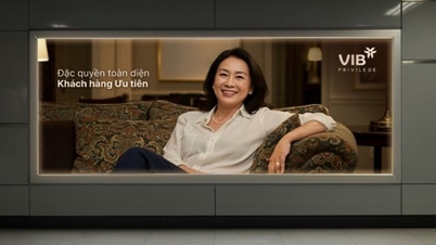 Увеличьте инвестиционную прибыль, двойные привилегии с VIB Privilege Banking