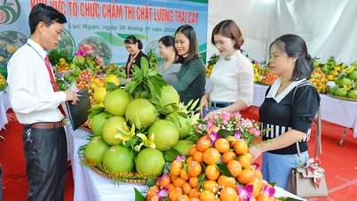 ពិធីបុណ្យផ្លែឈើ Bac Ninh ឆ្នាំ 2025 នឹងមកដល់ឆាប់ៗនេះ