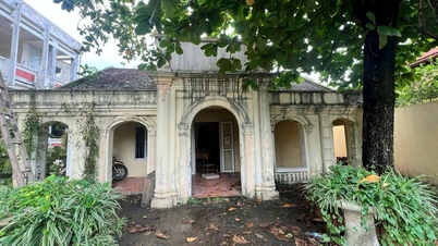 វត្ថុបុរាណរបស់សាលាភាសាជាតិទី១ «ស្រែករកជំនួយ»