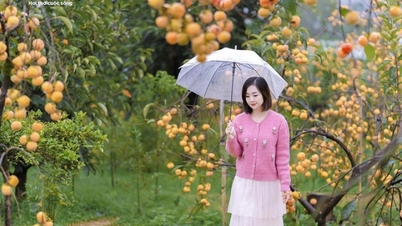 ការព្យាករណ៍អាកាសធាតុថ្ងៃទី ១២ ខែវិច្ឆិកា៖ អាកាសធាតុមានពន្លឺថ្ងៃនៅភាគខាងជើង មុនពេលអាកាសធាតុត្រជាក់