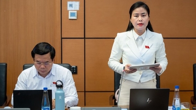 ពិចារណាពង្រីកវិសាលភាព និងលើកទឹកចិត្តប្រជាជនទាំងមូលឱ្យចូលរួមក្នុងការផ្លាស់ប្តូរឌីជីថល។