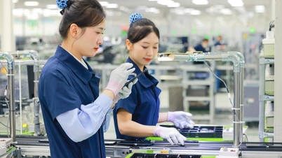 سامسونگ سی‌امین سال همراهی و خلق زندگی بهتر با ویتنام را گرامی می‌دارد