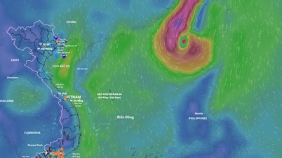 स्तर 11 की हवाओं वाला तूफान संख्या 14 धीरे-धीरे कमजोर पड़ रहा है, पूर्वी सागर से निकलने वाला है