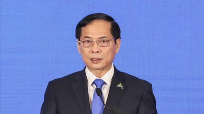 ឧបនាយករដ្ឋមន្ត្រី៖ វៀតណាម-អាមេរិក បង្កើតរួមគ្នា អភិវឌ្ឍន៍ រួមគ្នា ឈ្នះទាំងអស់គ្នា