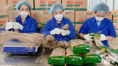 គុនមីង - រដូវតាមរដូវ