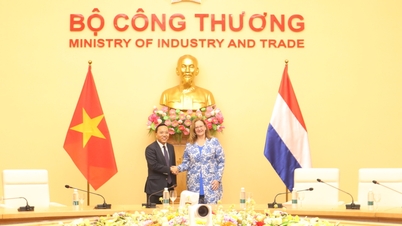Vietnam a Nizozemsko podporují spolupráci v odvětvích s vysokou přidanou hodnotou