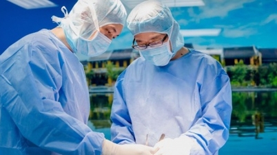 Spolupráce s Japonskem: Zlepšení techniky náhrady kolenního kloubu bez tendonektomie