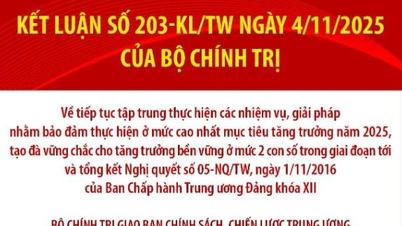 ភារកិច្ចរបស់គណៈកម្មាធិការគោលនយោបាយ និងយុទ្ធសាស្ត្រមជ្ឈិម គណៈកម្មាធិការបក្សគ្រប់លំដាប់ថ្នាក់ រដ្ឋាភិបាល និងរណសិរ្សមាតុភូមិវៀតណាម