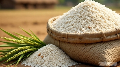 Harga beras hari ini 12 November 2025: Harga beras dan gabah tetap stabil