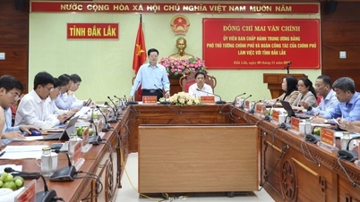 ផ្តោតលើការលុបបំបាត់ការលំបាក និងជំរុញកំណើនសេដ្ឋកិច្ចនៅ Dak Lak