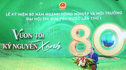 សុន្ទរកថារបស់រដ្ឋមន្ត្រី Tran Duc Thang ក្នុងពិធីរំលឹកខួបលើកទី 80 នៃវិស័យកសិកម្ម និងបរិស្ថាន