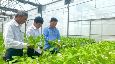 농업협동조합의 운영 및 경영의 질 향상