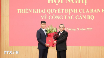 លោក Tran Huy Tuan កាន់តំណែងជាលេខារងគណៈកម្មាធិការបក្សខេត្ត Ninh Binh សម្រាប់អាណត្តិ 2025-2030។