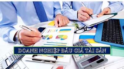 Doanh nghiệp đấu giá tài sản được thành lập, tổ chức và hoạt động dưới hình thức nào?
