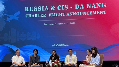 Ontwikkeling van de chartermarkt van Rusland naar Da Nang in de zomer van 2026