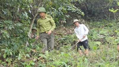 Lai Chau versterkt de preventie en bestrijding van bosbranden in het droge seizoen