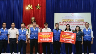 Thành phố Hồ Chí Minh hỗ trợ Đà Nẵng hơn 15 tỷ đồng để khắc phục thiệt hại do mưa lũ