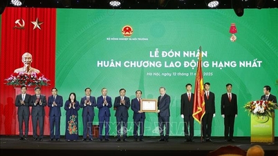 វិស័យកសិកម្ម និងបរិស្ថានបានក្លាយជាកត្តាសំខាន់ក្នុងយុគសម័យថ្មីនៃការអភិវឌ្ឍន៍។