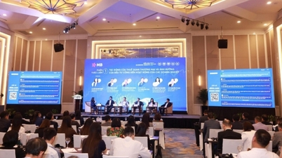 MB Economic Insights 2025: Menegaskan posisi kepemimpinan dan strategi komprehensif untuk mendampingi bisnis
