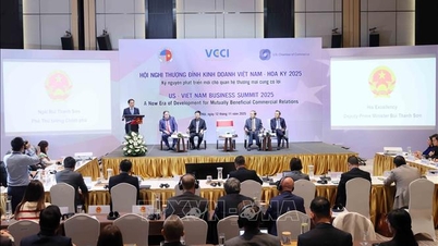 កិច្ចប្រជុំកំពូលធុរកិច្ចវៀតណាម-អាមេរិកលើកទី៨