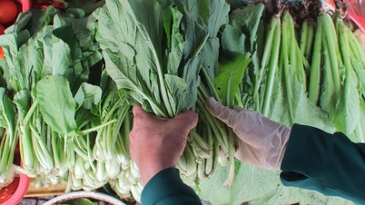 តើ​គួរ​ញ៉ាំ​បន្លែ​ផ្លែឈើ​ប៉ុន្មាន​ក្នុង​មួយថ្ងៃ​?