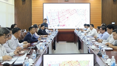 Versnelling van de voortgang van elektriciteitstransmissieprojecten in de provincie Ca Mau