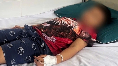 Vụ ngộ độc sau khi ăn bánh mì ở TPHCM: Giải trình tự gen vi khuẩn