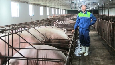 Promowanie mocnych stron, które pomogą mieszkańcom Nam An Phu się wzbogacić