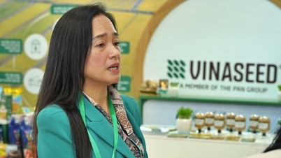 អាជីវកម្មត្រូវតែមានពណ៌បៃតង ប្រសិនបើពួកគេចង់រស់នៅប្រកបដោយនិរន្តរភាព។