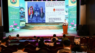 Schulung zur Auslandsinformationsarbeit im Jahr 2025