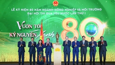 Sekretaris Jenderal Lam: Sektor Pertanian dan Lingkungan selalu mendampingi bangsa dan merupakan pilar perekonomian.