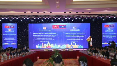 វៀតណាម និងឡាវចែករំលែកបទពិសោធន៍ដើម្បីលើកកំពស់គុណភាពអប់រំ