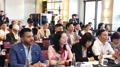 ទីក្រុង Da Nang មានបំណងក្លាយជាមជ្ឈមណ្ឌលទេសចរណ៍វេជ្ជសាស្រ្តអន្តរជាតិ